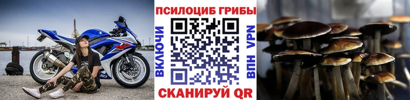 продажа наркотиков  Таруса  Псилоцибиновые грибы Cubensis 